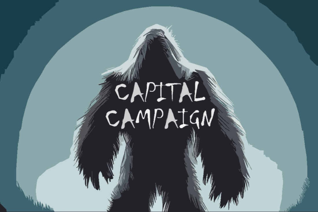 Overcoming Your Fear of a Big, Scary Capital Campaign
